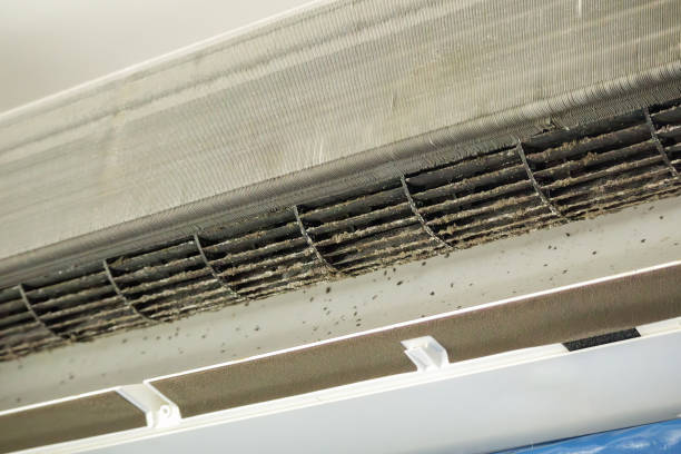 Best Commercial HVAC Duct Cleaning  in South Sarasota, FL